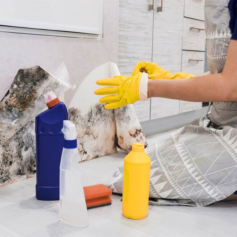 Close up Of A Shocked Woman Looking At Mold On Wall